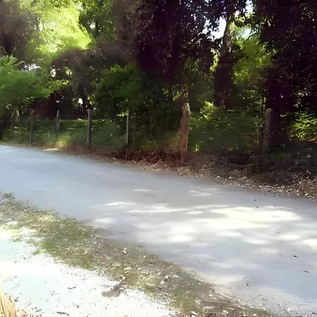 La Cigale - Maison Nyaraló Lacanau